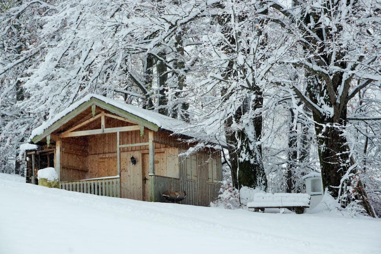 Ferienwohnung Hausleitner Zell am Moos Zewnętrze zdjęcie